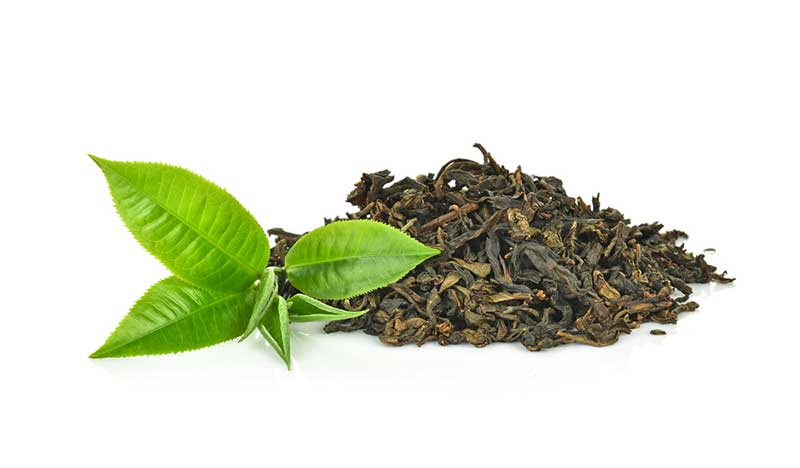 Best Green Tea for Weight Loss