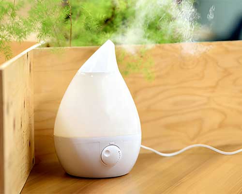 best humidifier for asthma and allergies