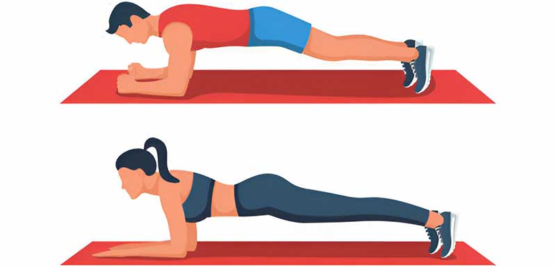 workout for belly fat in gym